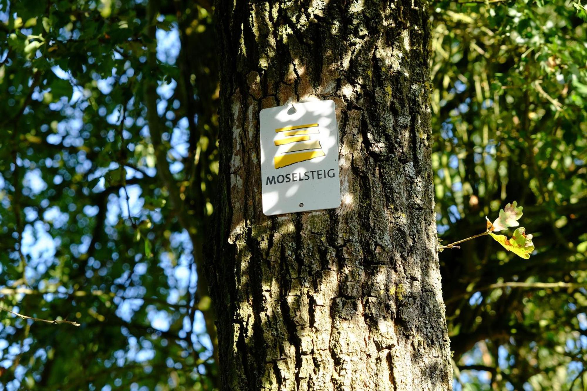 Ferienwohnung-Zum-Kueppchen Münstermaifeld Exteriör bild